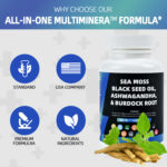 Sea Moss Black SeedOil 80g with Ashwagandha &Burdock Root Capsules 60 Capsules