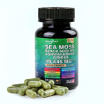 Himaster Sea Moss Capsules for Enhanced Digestive Health in Just 14 Days Supplement -Edible, Fitness, Dietary Healthcare Probiotic